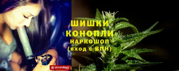 прущие крисы Каменка