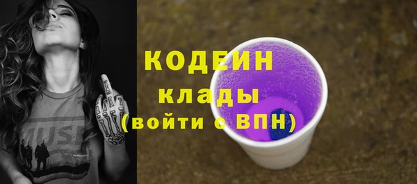 прущие грибы Каменск-Шахтинский