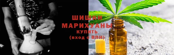 прущие грибы Каменск-Шахтинский