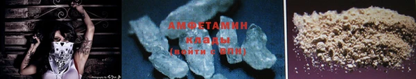 прущие грибы Каменск-Шахтинский