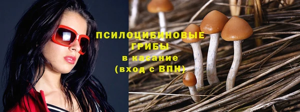 прущие крисы Каменка
