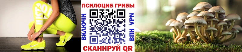 Псилоцибиновые грибы Psilocybine cubensis  Купить закладки  Хвалынск 
